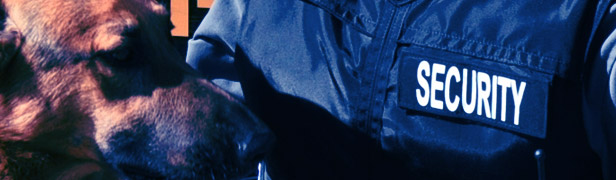K-9 Detection