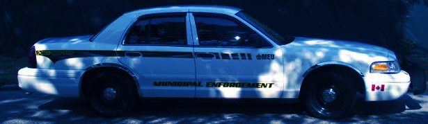 Municipal Enforcement